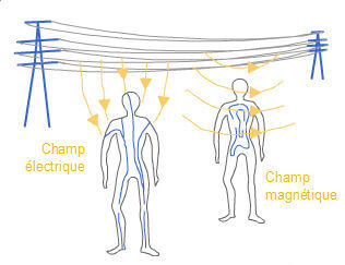 Champs magnétique et électromagnétique: Chambres d'observation du champs  magnétique